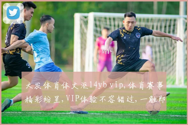 大发体育体丈沤14yb vip,体育赛事精彩纷呈,VIP体验不容错过,一触即达