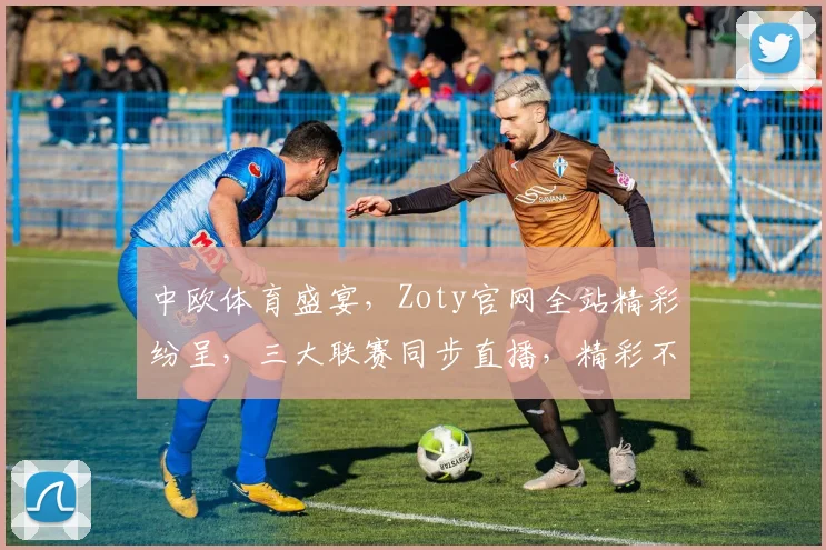 中欧体育盛宴，Zoty官网全站精彩纷呈，三大联赛同步直播，精彩不容错过，赛事信息一手掌握